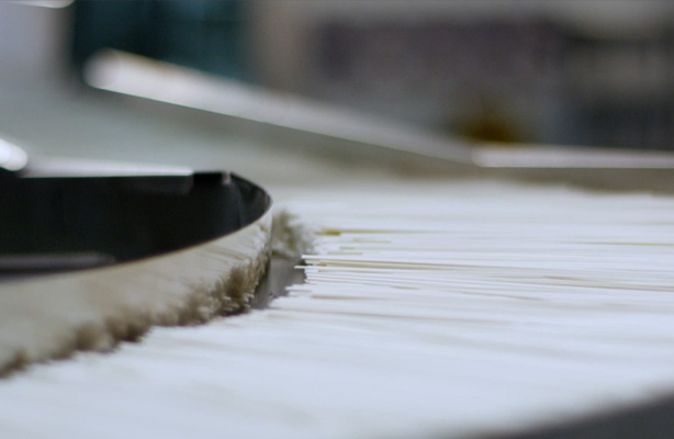 面條為什么會(huì)生蟲？